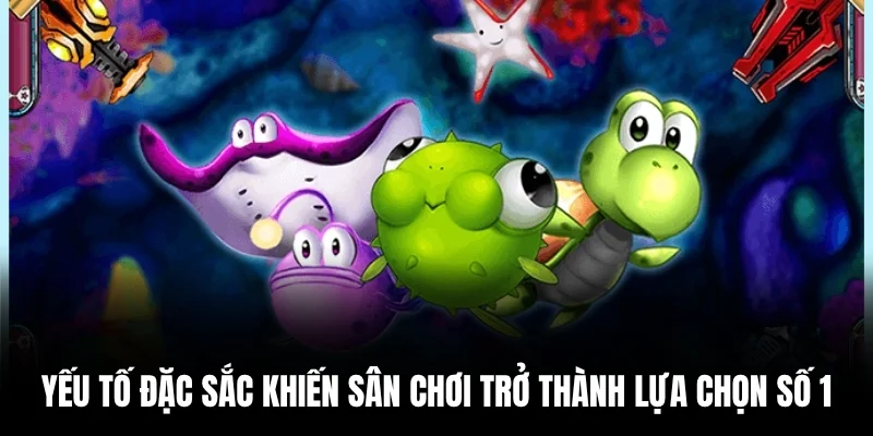 Yếu tố đặc sắc khiến sân chơi trở thành lựa chọn số 1.